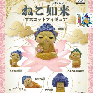 剩最後一組 現貨 貓咪如來吉祥物 扭蛋 轉蛋 日本 正版 商品 貓咪 毛小孩 可愛 如來佛祖 神明 蝦皮購物