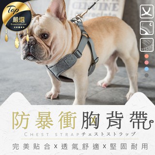 【現貨 免運費🐶三種尺寸】X型寵物背帶 狗牽繩胸背帶 胸背帶 狗狗胸背帶 狗狗背帶 狗狗牽繩 寵物胸背帶 狗狗項圈狗牽繩