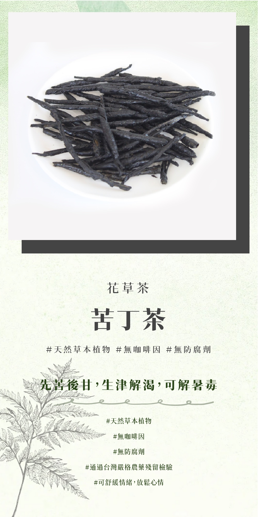 宅配便送料無料 ユーワ 苦丁茶 2g 30包 Shipsctc Org