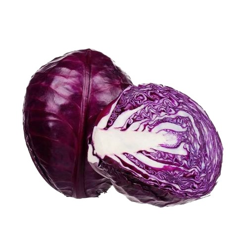 紫高麗菜種子~~大型品種單球重達3kg