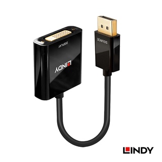 LINDY 林帝 主動式 DisplayPort 轉 DVI-D 轉接器 (41734)