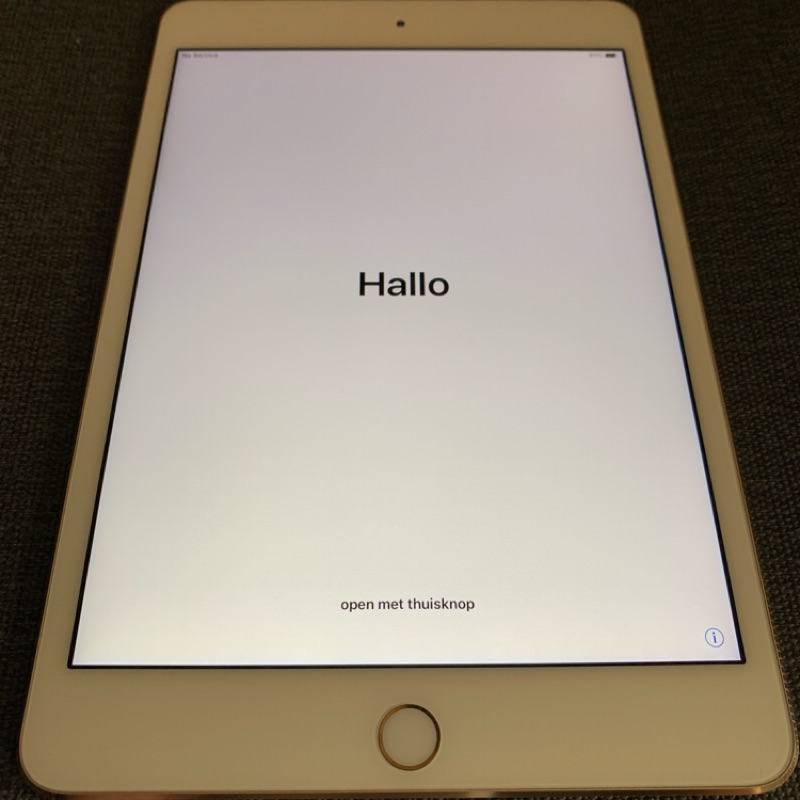 iPad mini4 16g LTE版 金色 二手
