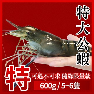 【台灣養殖】段泰國蝦精選 x 特大公蝦（一斤約5~6隻）