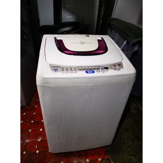 東芝 10公斤洗衣機（冷風乾燥功能)