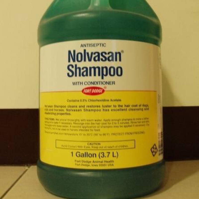 Nolvasan Shampoo 寵物洗毛精1加侖（3.7L) | 蝦皮購物