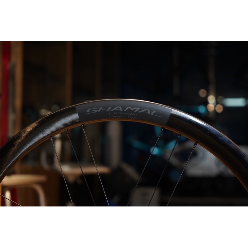 【合利單車】Campagnolo Shamal Carbon Disc 碳纖維 碟煞 瞎貓 輪組