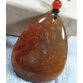 ☆ 奇緣創意 ☆ 天然珊瑚玉 水滴吊墜 項鍊 鎖骨鍊