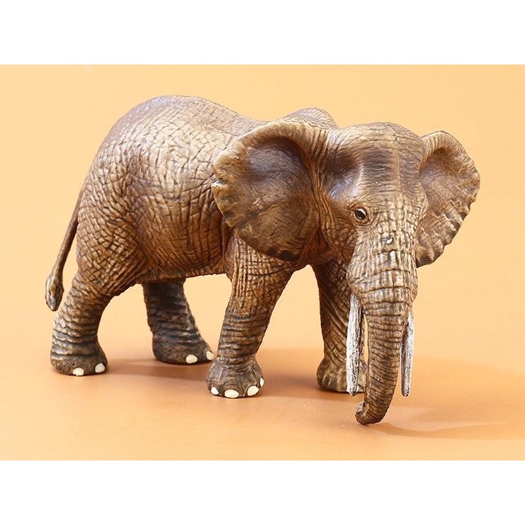 動物模型 非洲母大象 象  非schleich collecta papo