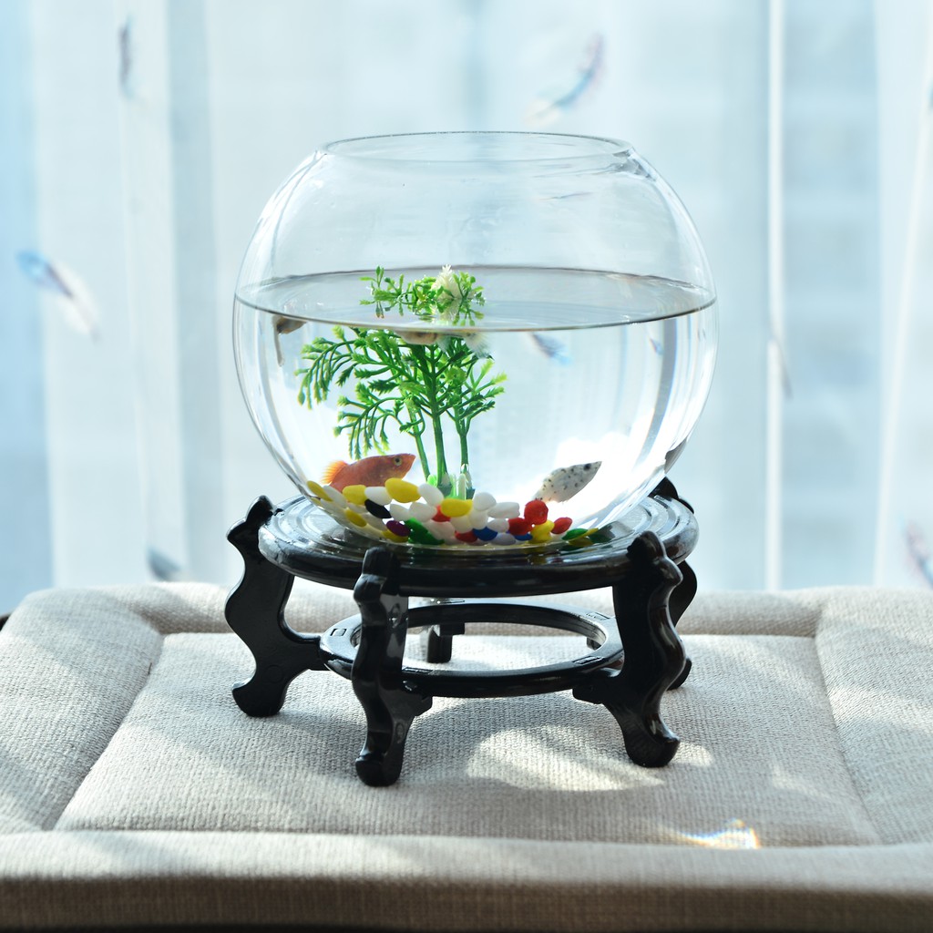 辦公室小魚缸加厚透明玻璃烏龜缸客廳家用桌面圓形迷你小型金魚缸 Man Power 蝦皮購物