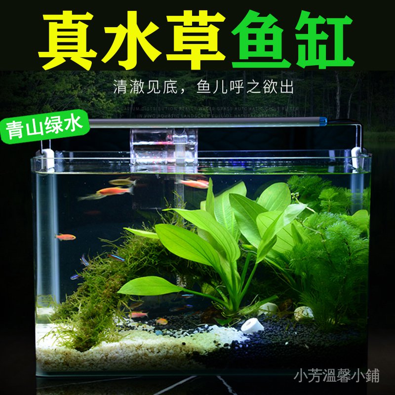 烏龜用品 真水草金魚缸造景套餐客廳小型桌面玻璃生態裝飾觀賞水族箱烏龜缸 蝦皮購物