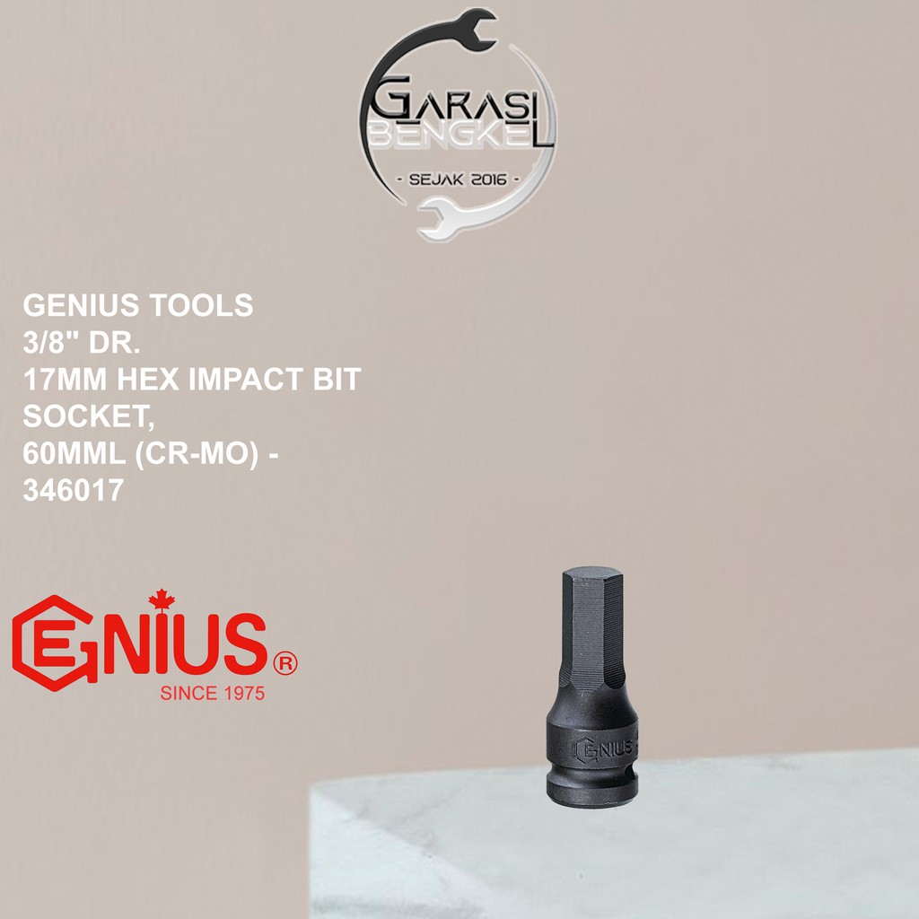 Genius Tools 3/8 Dr Hex 衝擊鑽頭套筒 17mm 套筒扳手 L-shock L