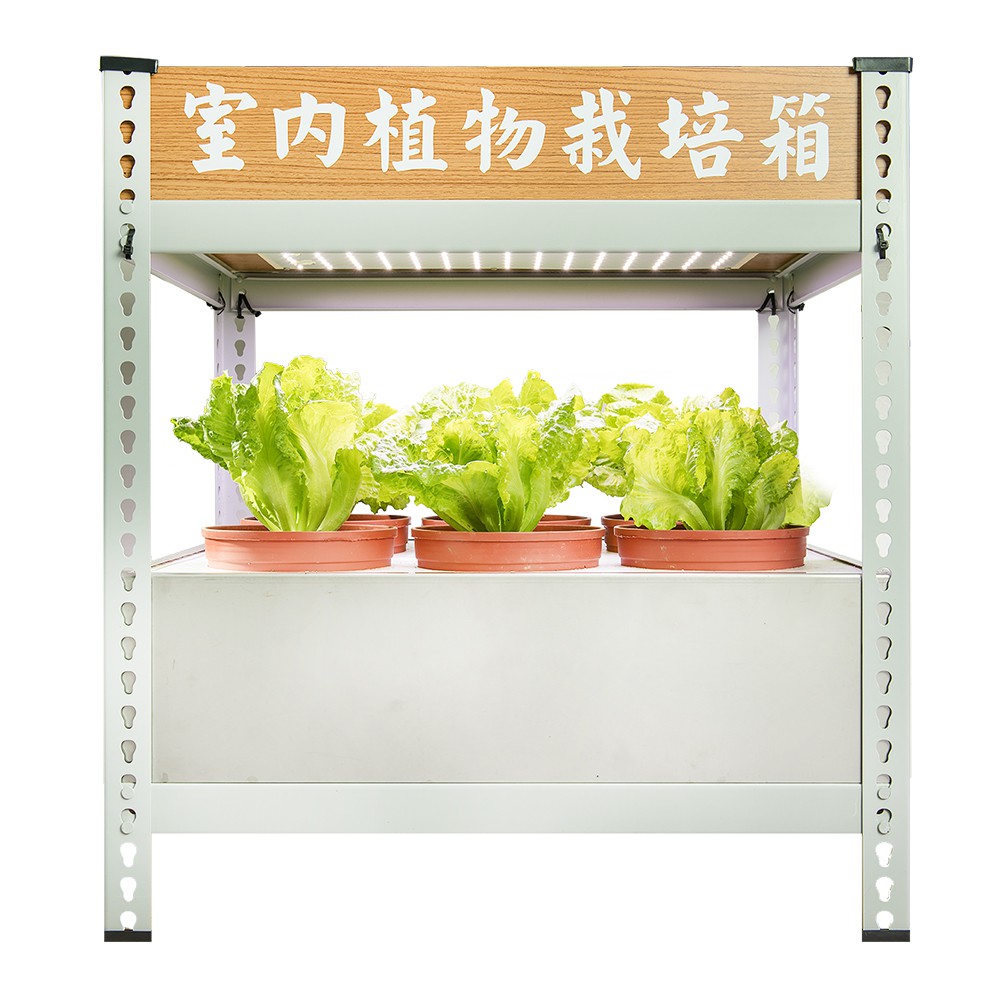 日品 迷你室內栽培箱 6棵 蝦皮購物
