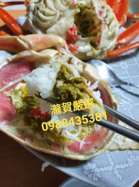 松葉蟹日本松葉蟹活體松葉蟹日本四大明蟹蟹膏濃郁香甜蟹肉清甜彈牙 蝦皮購物