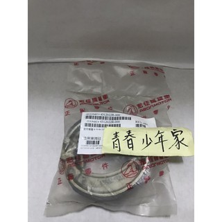《少年家》AEON 宏佳騰 22R 原廠 COIN 100 125 後剎車皮 後煞車皮 後來令