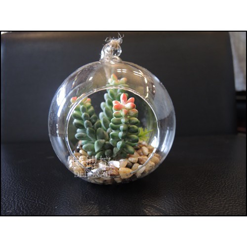 高雄 黛博拉家飾精品 人造花仙人掌多肉植物盆栽吊式玻璃花器植栽室內室外擺設擺飾居家佈置辦公室療愈小物庭院花園