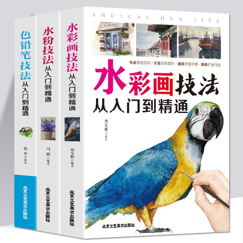 色鉛筆水粉水彩畫技法從入門到精通零基礎學畫畫優雅回頭客繪畫書籍書籍書 蝦皮購物