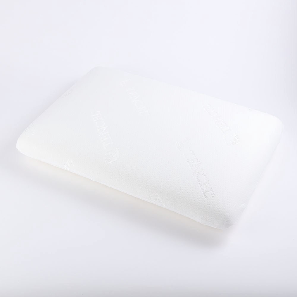HOLA 高密度防螨抗菌記憶枕雙面標準型H10.5CM