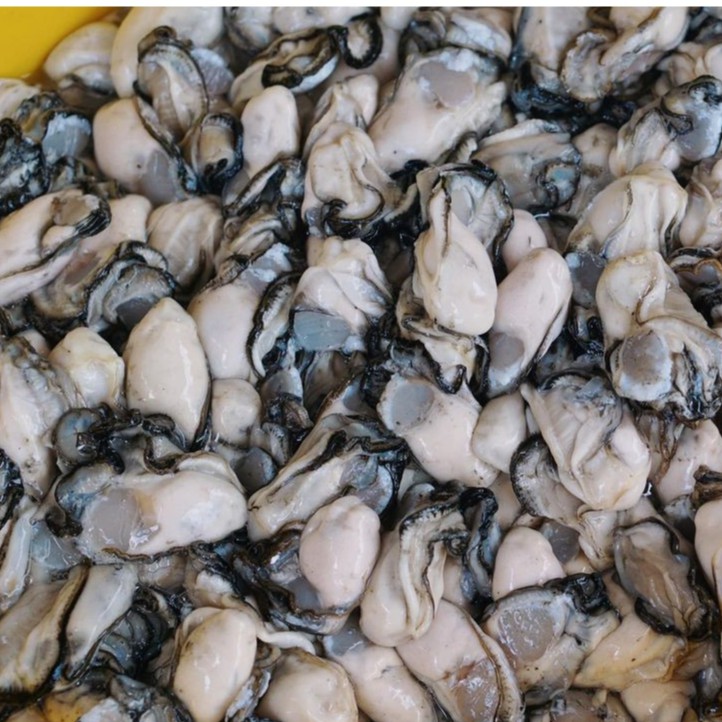 澎湖牡蠣肉的價格推薦 21年8月 比價比個夠biggo