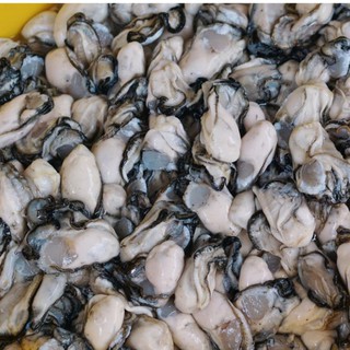 澎湖牡蠣 優惠推薦 美食 伴手禮21年7月 蝦皮購物台灣