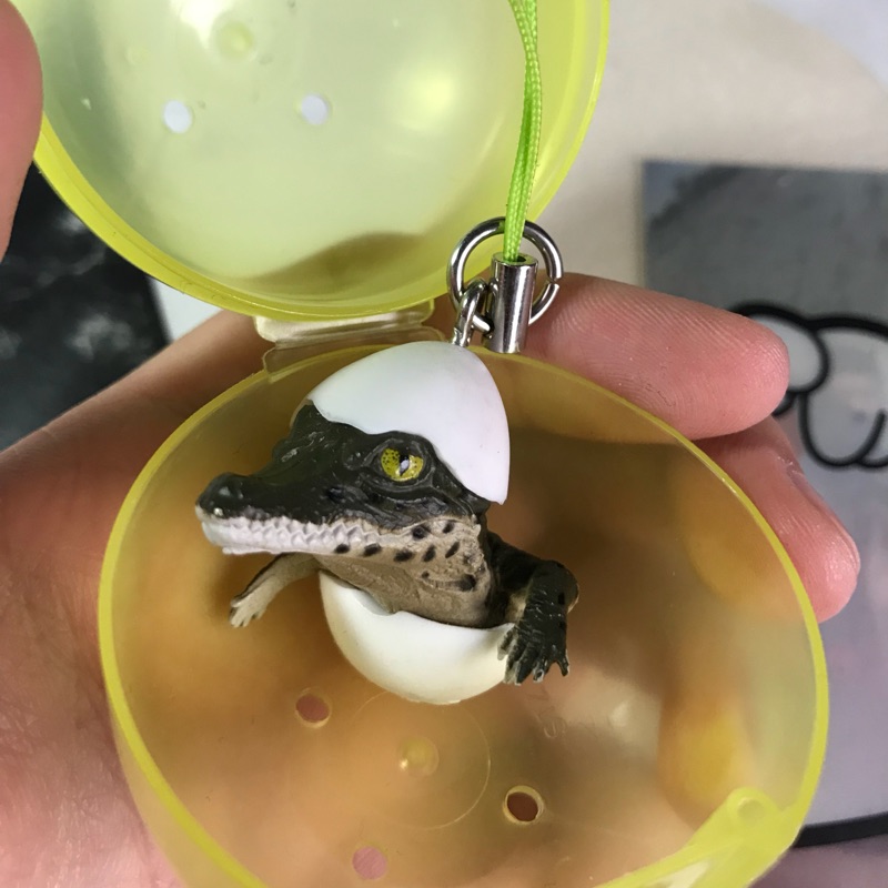 扭蛋  蛋殼鱷魚  蛋殼企鵝