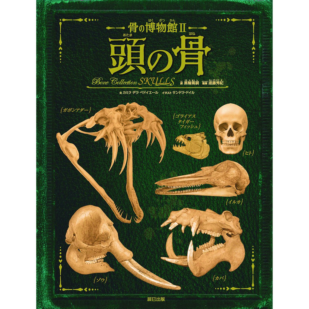 骨の博物館1 2 3 動物の骨 骨の博物館 1 蝦皮購物