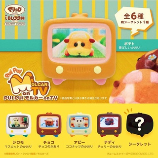 i BLOOM 軟軟Squishy紓壓玩具系列 PUI PUI 天竺鼠小車車 電視機 (隨機出貨)