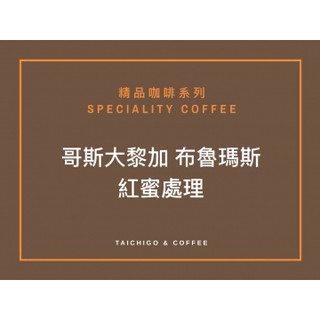 SCA國際認證 黑果精品咖啡 哥斯大黎加 布魯瑪斯 紅蜜處理 450g