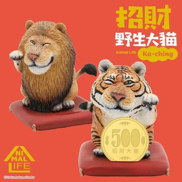 Animal life 招財野生大貓