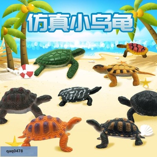 【臺灣出貨】模擬烏龜玩具海洋動物模型塑膠迷你海龜陸龜兒童早教認知道具擺件