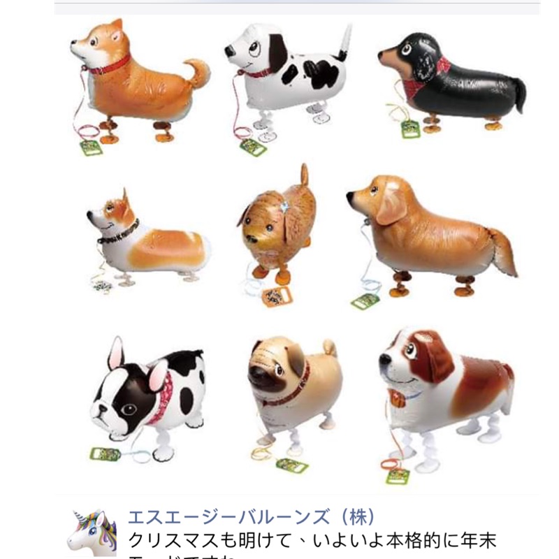 素材］日本正版SAG寵物散步氣球生日派對走路動物狗狗豬貓森林風
