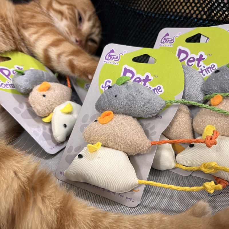 這個小老鼠真的超級好玩 毛絨老鼠逗貓玩具 絨仿真小老鼠貓玩具 小老鼠貓咪耐抓耐咬互動玩具 貓玩具 寵物啃咬玩具 寵物玩具