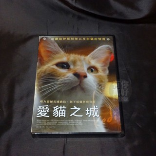 全新影片《愛貓之城》DVD 喵力震撼美國戲院 創下近億票房奇蹟貓奴一生絕對不可錯過的一部紀錄片