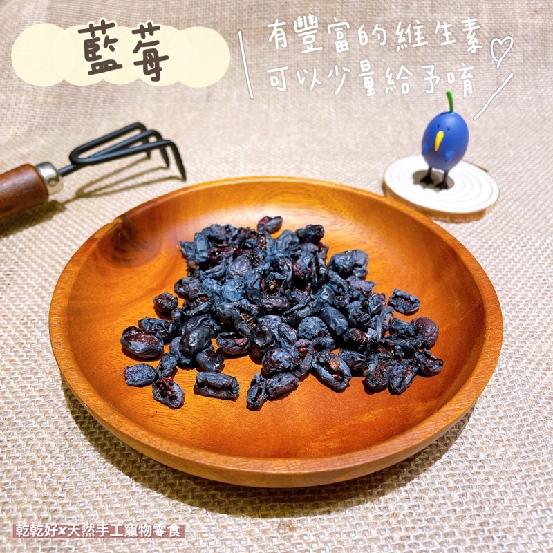 【乾乾好】手工寵物零食｜藍莓乾🫐｜10～30顆 ｜🐰🐹