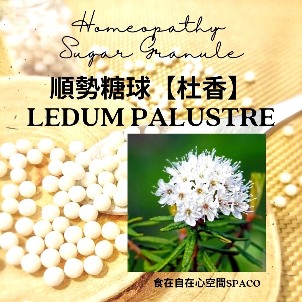 順勢糖球【Ledum Palustre 杜香】Homeopathic Granule 縐摺屈曲處 尖細侵入