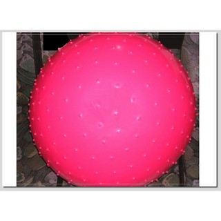 [星誠企業]全新台灣製65公分大型按摩球/65cm大刺球 (充氣球/韻律球/健身球/瑜珈球/復健球/顆粒球/觸覺球)