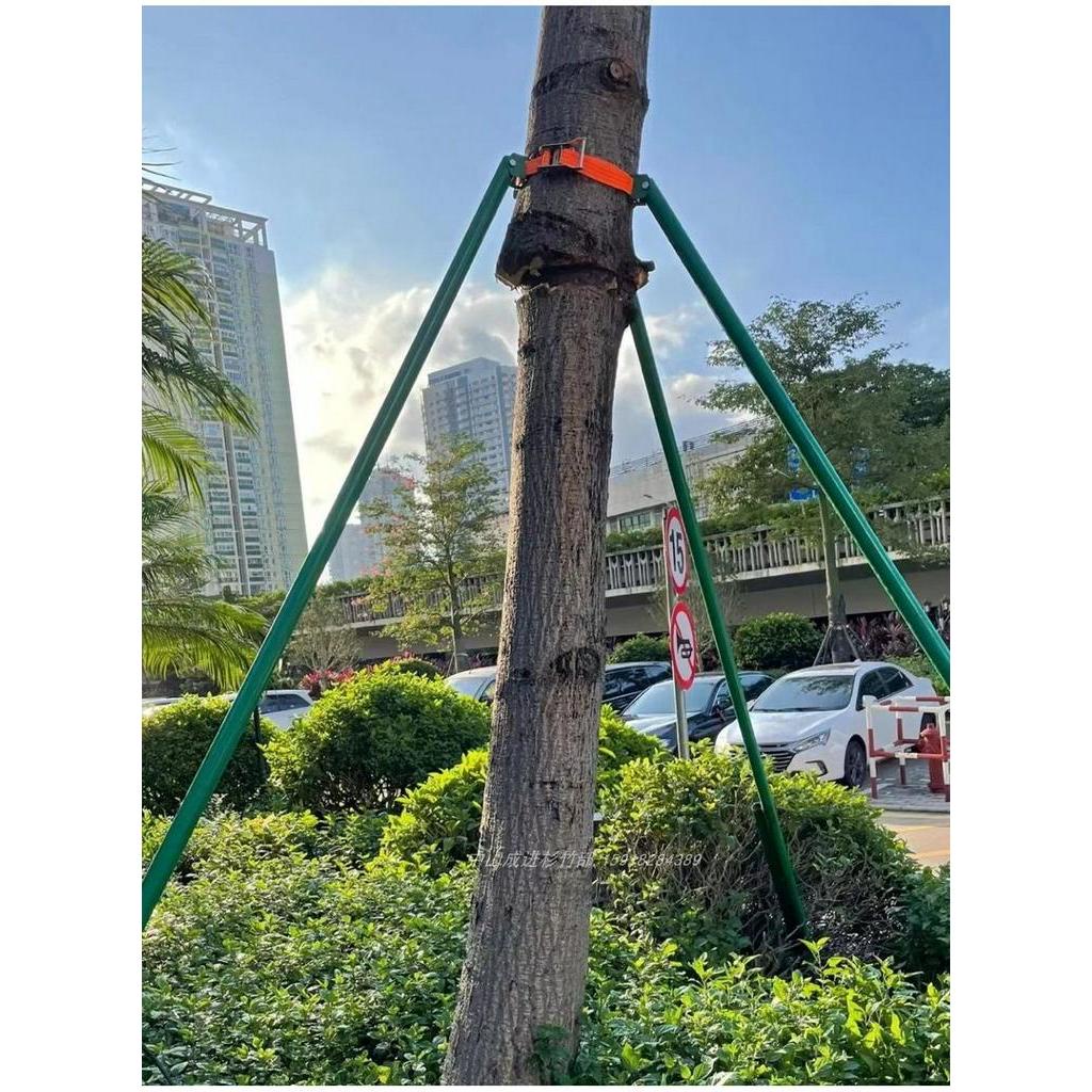 🚚免運🚚 鋼管樹木支撐架防風支架綁帶式樹木支撐固定器庭園綠化苗木支架