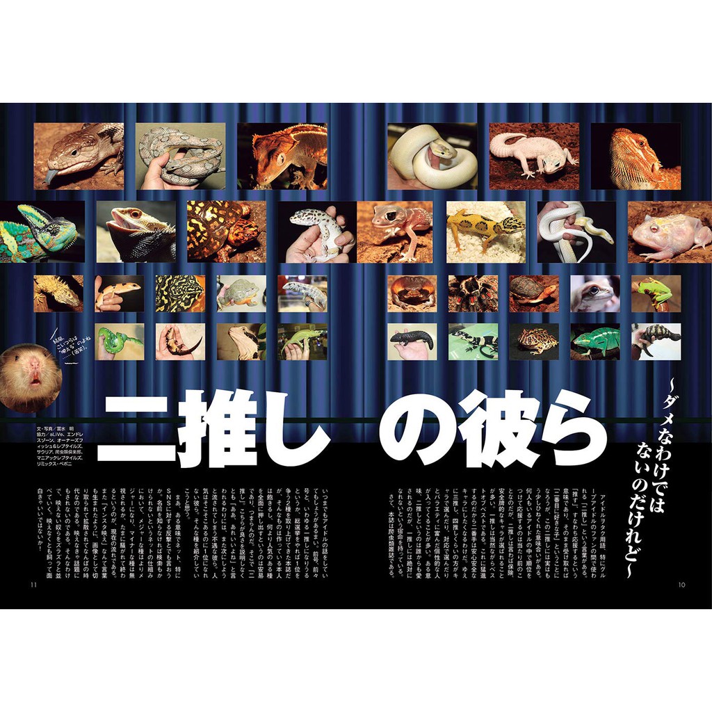 ビバリウムガイドno 蝦皮購物