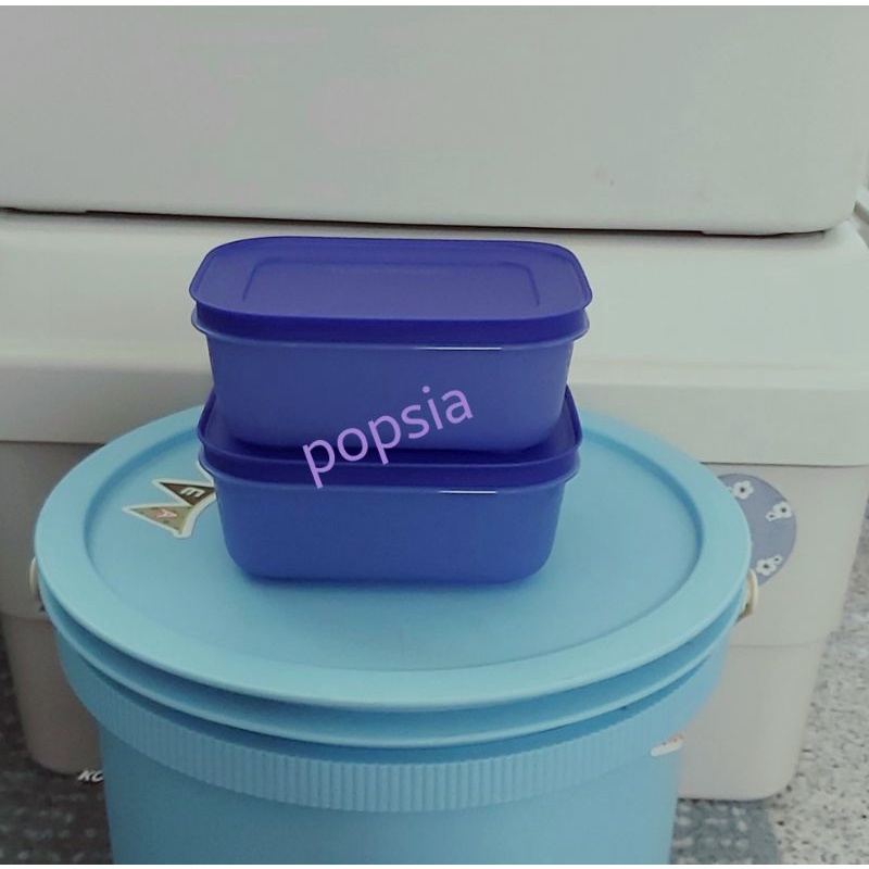 Tupperware Chill-Freez 450ml【Popsia 特百惠新型450cc雪花冷藏+冷凍保鮮盒(2)】