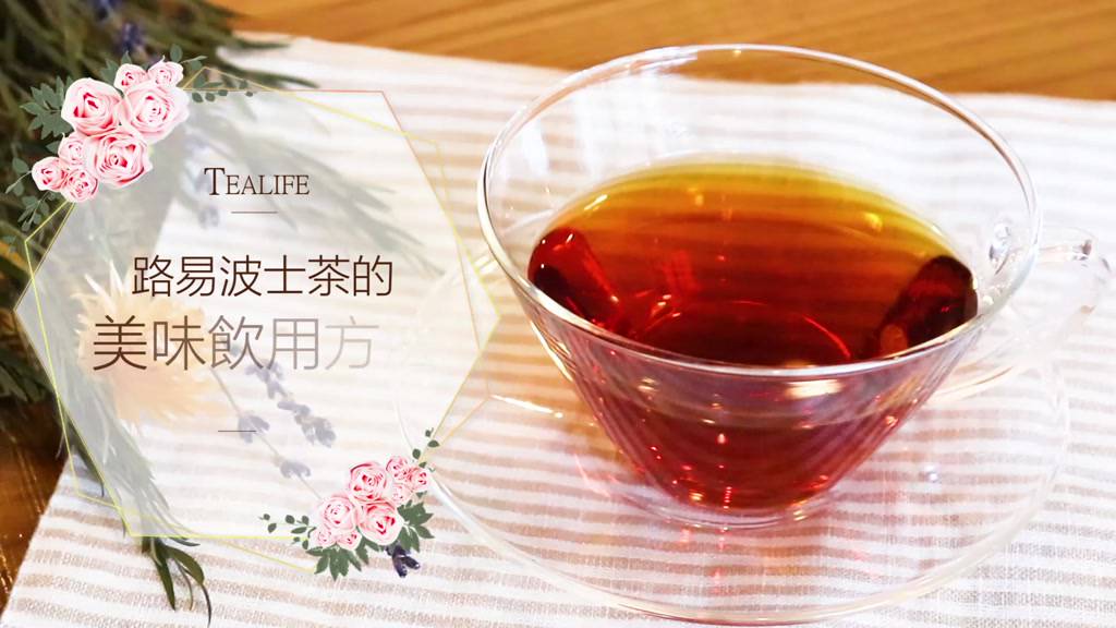 【TeaLife】提來福 有機路易波士茶101包 有機南非國寶茶 日本直送 無咖啡因 博士茶 養生養顏 美容健康茶