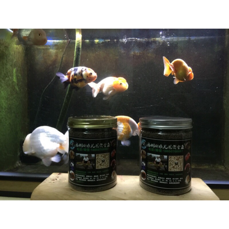 一組2罐入800克高級金魚專用飼料 蝦皮購物