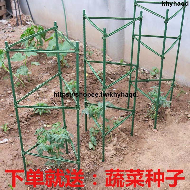【支架】黃瓜架西紅柿番茄攀爬支架爬藤植物支架茄子架豆角爬藤架支柱園藝