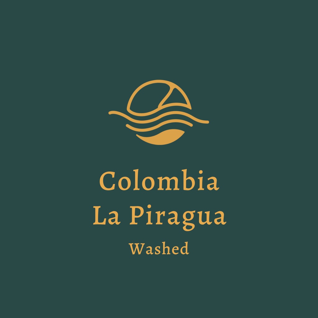 【哥倫比亞 獨木舟莊園】水洗 Colombia La Piragua Washed 咖啡豆【The Rising】