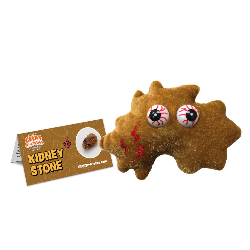 Kidney Stone 腎結石 蝦皮購物