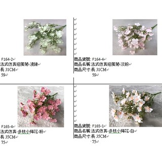 花小梅 優惠推薦 22年4月 蝦皮購物台灣