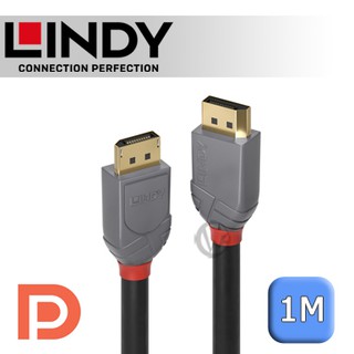 LINDY 林帝 ANTHRA DisplayPort 1.4版 公 to 公 傳輸線 1m (36481)
