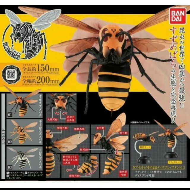 現貨 全新正版 超巨大 胡蜂 大黃蜂 虎頭蜂 蜜蜂 昆蟲 環保扭蛋 轉蛋