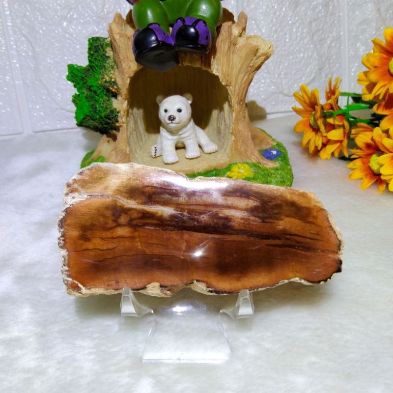 木化石片擺件 9 4 蝦皮購物