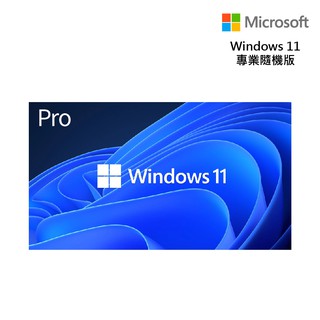 Windows 11 專業中文版 64位元隨機版 現貨 廠商直送