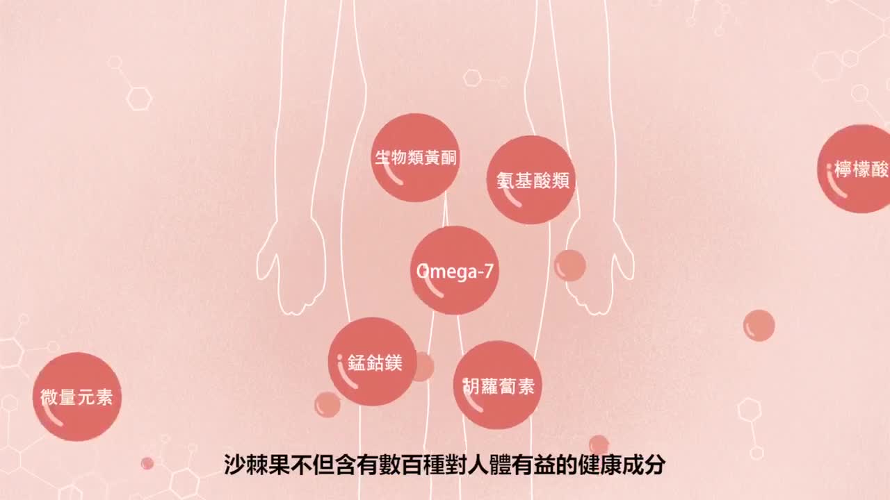 大醫生技西伯利亞沙棘果油膠囊 60顆[買3送1 買6送3]沙棘油 沙棘籽油 沙棘油膠囊 Omega7