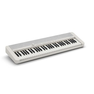 CASIO 卡西歐 61鍵標準 電子琴 CT-S1WE-P4白色 樂器